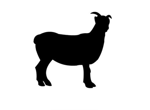 a product from the Sheep's category